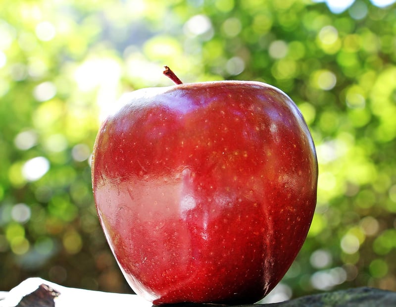 Caramel Apple